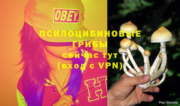 прущие крисы Алзамай