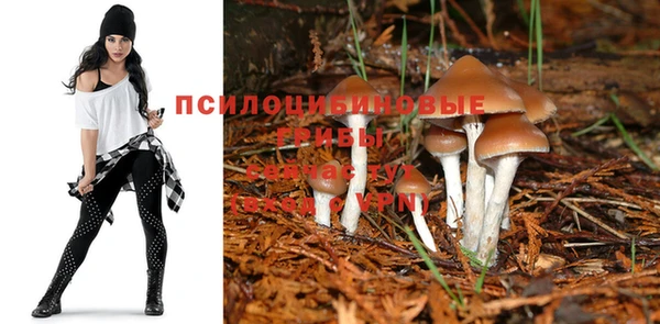 прущие крисы Алзамай