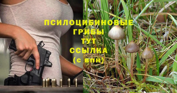 ешки Алексеевка